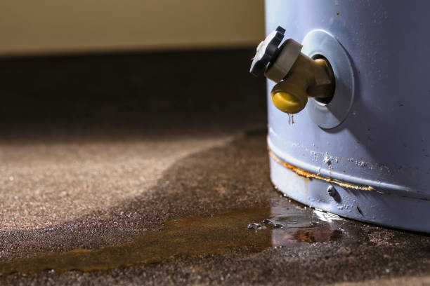 Best 24/7 water damage repair  in Cody, WY