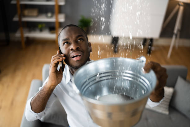 Best Flood damage cleanup  in Cody, WY
