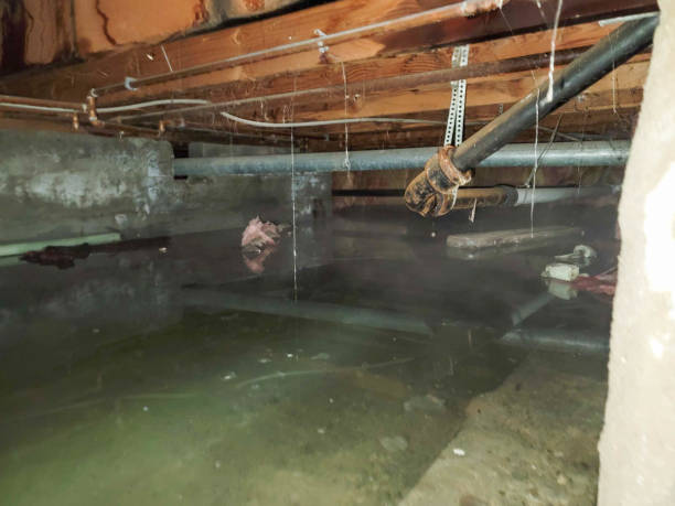 Best 24-hour water damage restoration  in Cody, WY