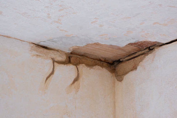 Best Local water damage restoration  in Cody, WY