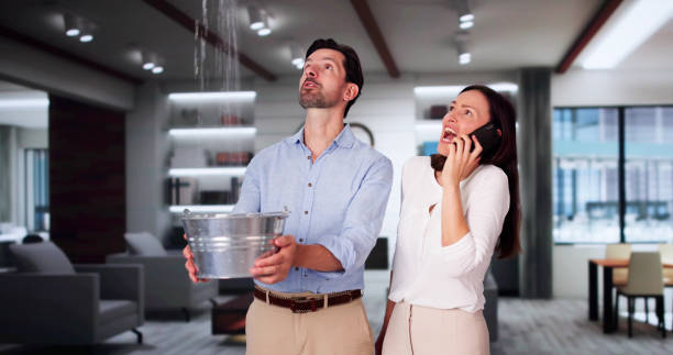 Best Water damage contractors near me  in Cody, WY