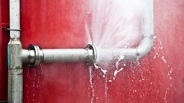 Best Local water damage restoration  in Cody, WY