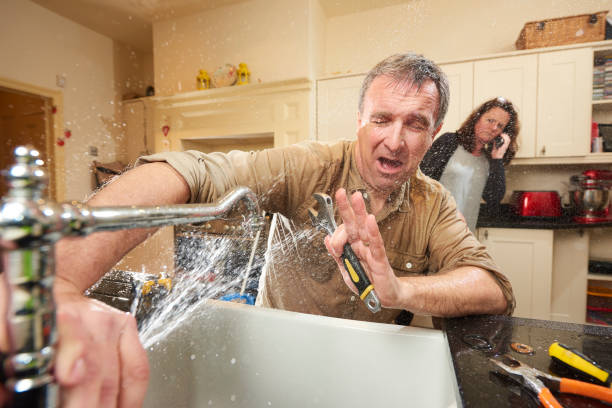Best Commercial water damage restoration  in Cody, WY